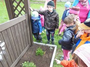 Pěstujeme bylinky na zahrádce